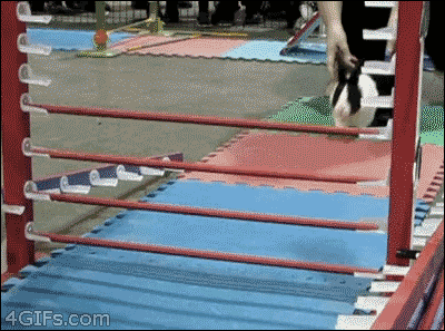 괜히 고생할 필요가 있나? .GIF | 인스티즈