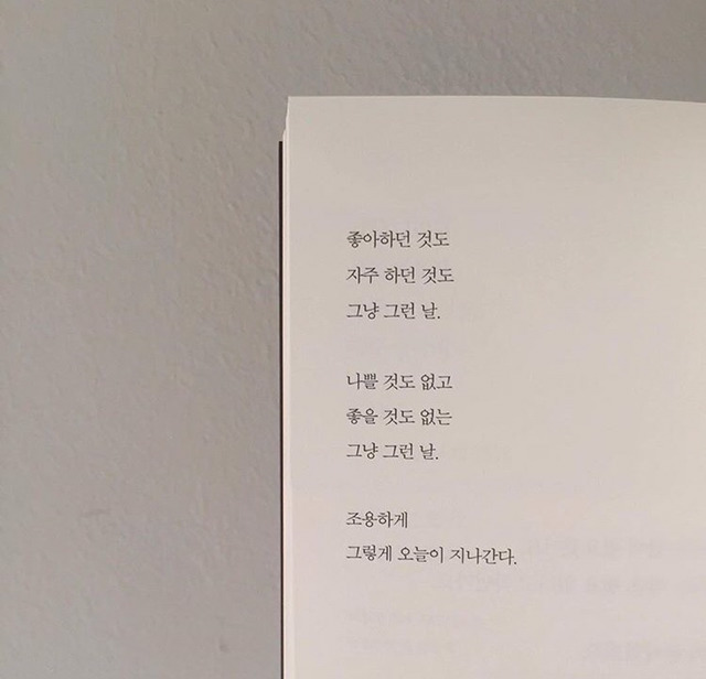 미워할 게 뭐 있나요 | 인스티즈