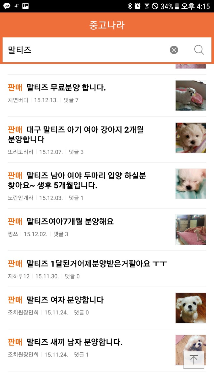 네이버 카페 중고나라에서 파는 강아지들 | 인스티즈