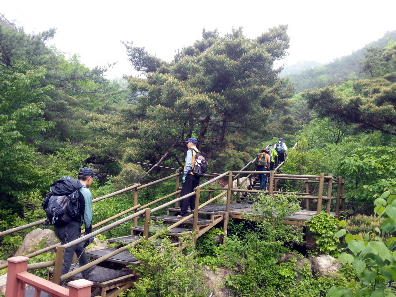 골짜기과일 이미지