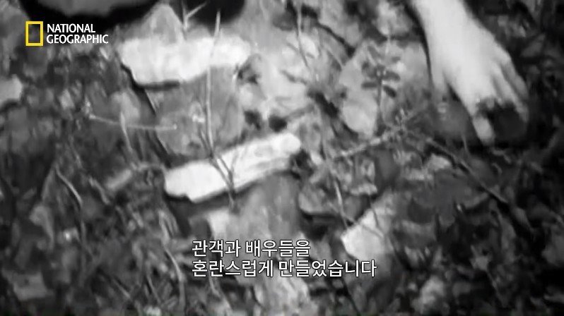 1999년, 새로운 장르의 공포영화가 인터넷을 통해 홍보되다 | 인스티즈