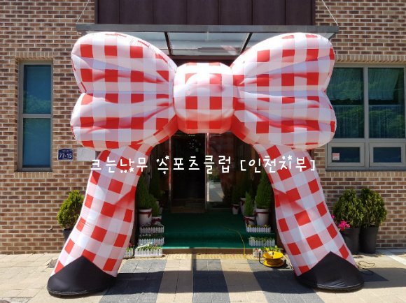 하늘스포츠 이미지