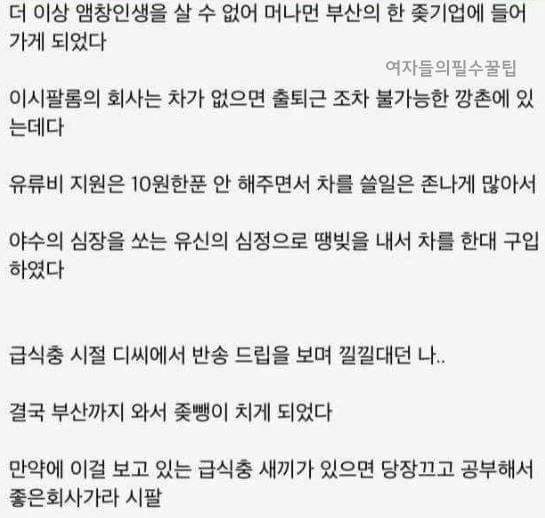 부산을 겪을 손수운전자에게(욕설주의) | 인스티즈