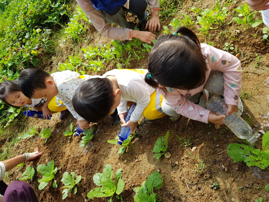 시립에스케이테크노파크어린이집 이미지