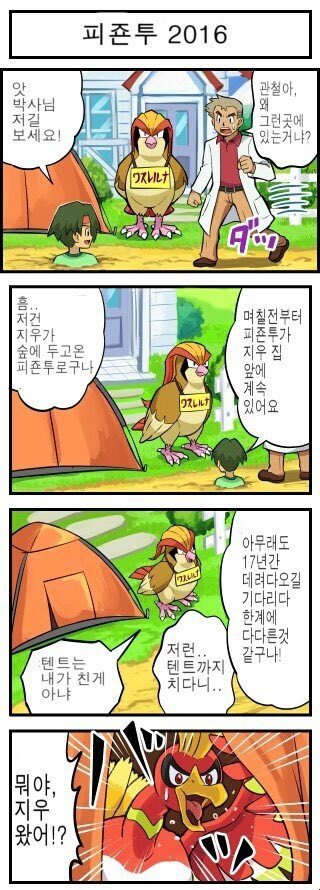 [포켓몬만화] 지우 기다리는 피죤투 .jpg | 인스티즈