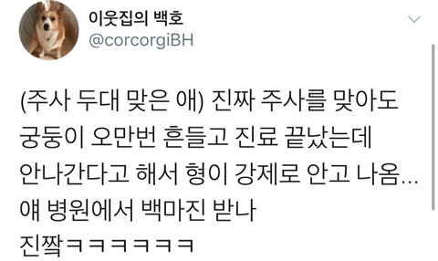 댕댕이의 고정픽은 동물병원 원장님 | 인스티즈