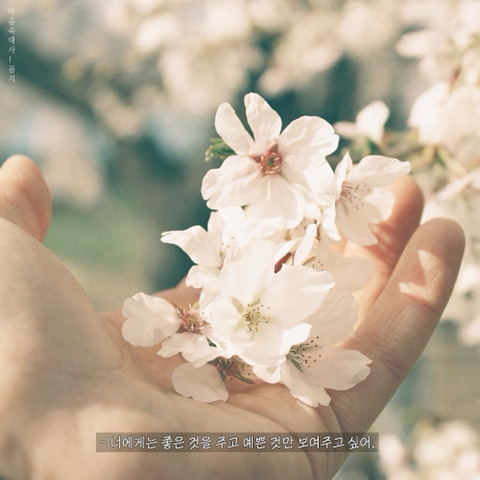젤예쁜 이미지