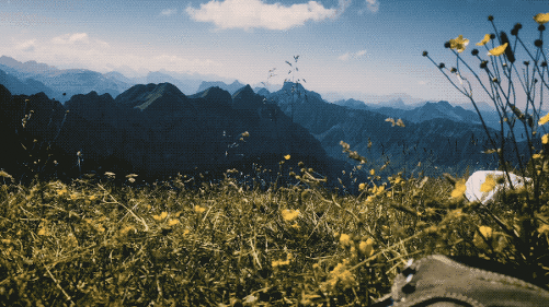 99C219365D9E7301206F18