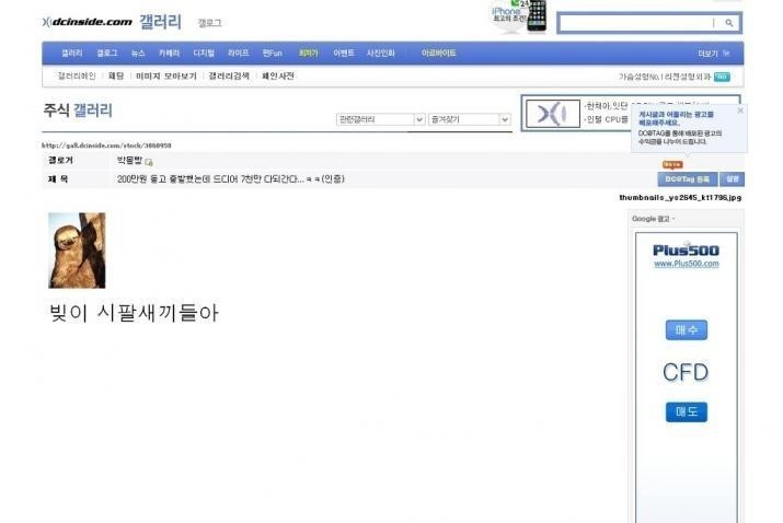 인터넷 명언들 | 인스티즈