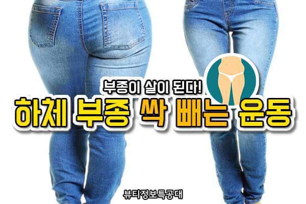 하체부종 제거운동 | 인스티즈