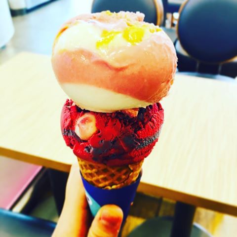 다양한 맛! 베스킨라빈스 아이스크림 gifjpg | 인스티즈