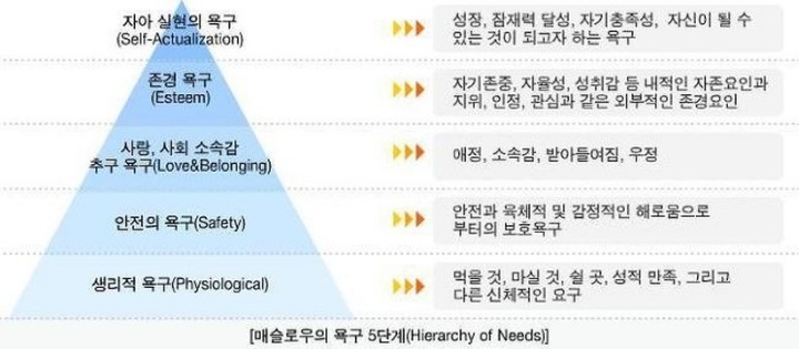 대학가서 웬만한 과에서 다 배우는거 | 인스티즈