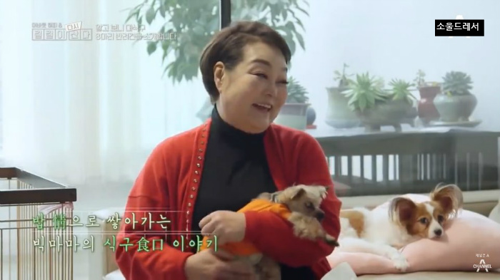  빅마마 이혜정의 스트릿출신 반려견들 (귀여움주의) | 인스티즈