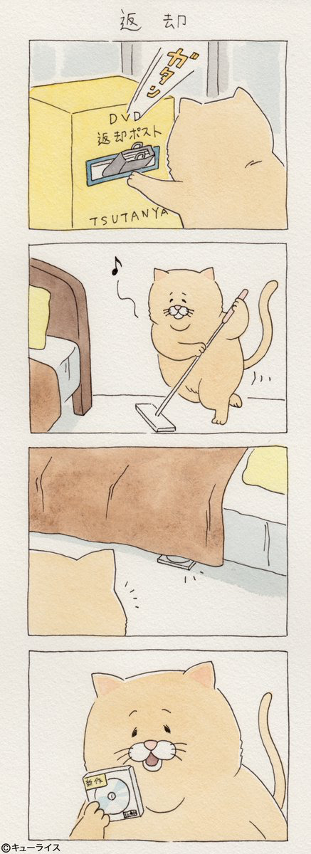 뭐든지 안 되는 고양이 시리즈.jpg | 인스티즈