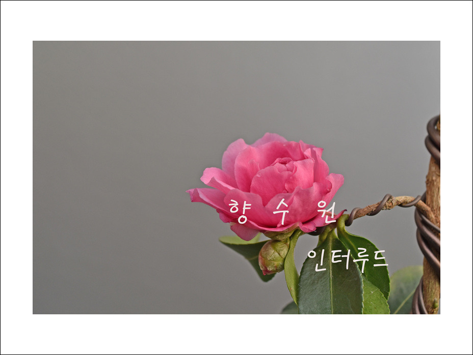 인터루드 이미지