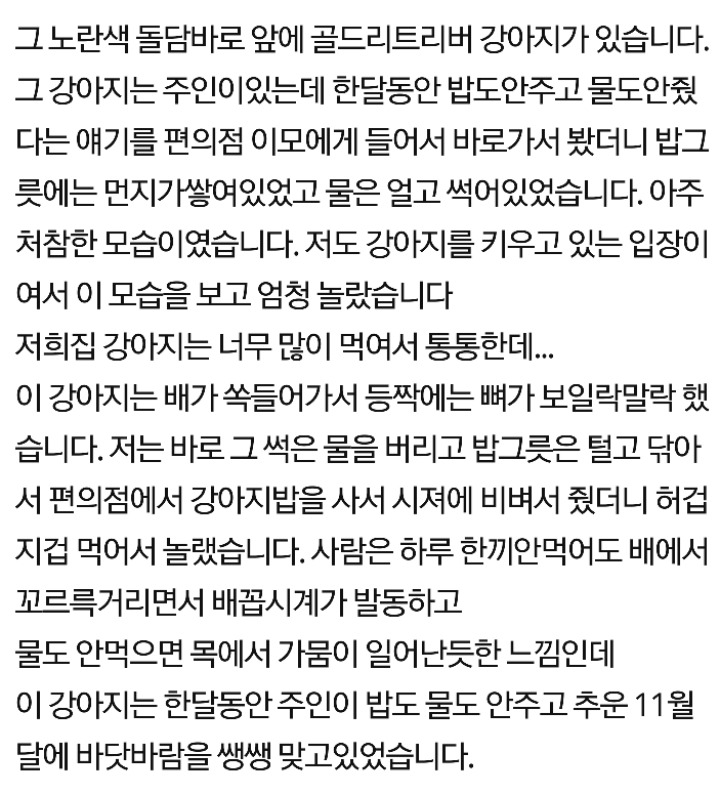 불쌍한 리트리버 | 인스티즈