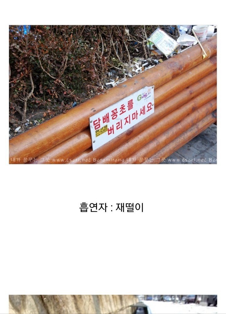 흡연자가 욕먹는 이유 jpg (길빵) | 인스티즈
