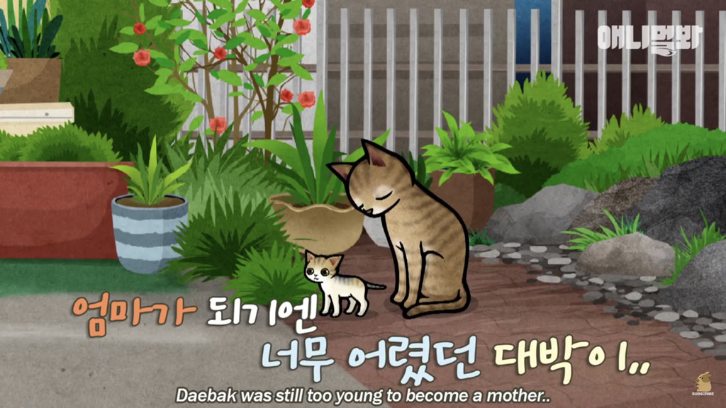 아기 고양이를 능숙하게 키우는 강아지의 사연은? | 인스티즈
