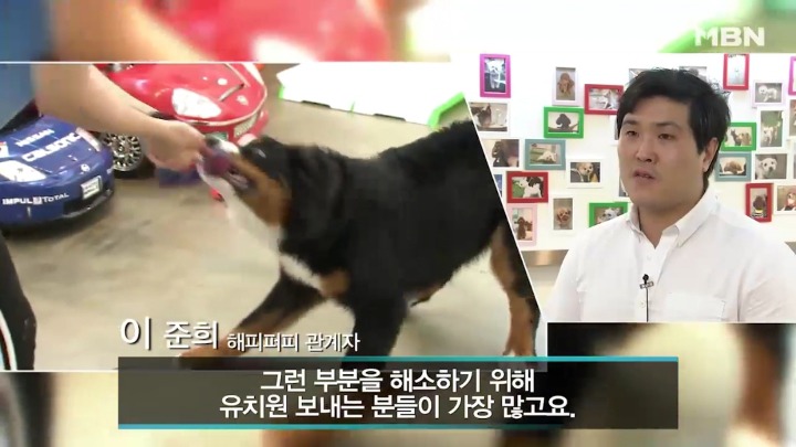 강아지 유치원 하루일과.jpg | 인스티즈