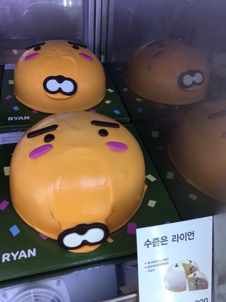 수줍은 라이언.jpg | 인스티즈