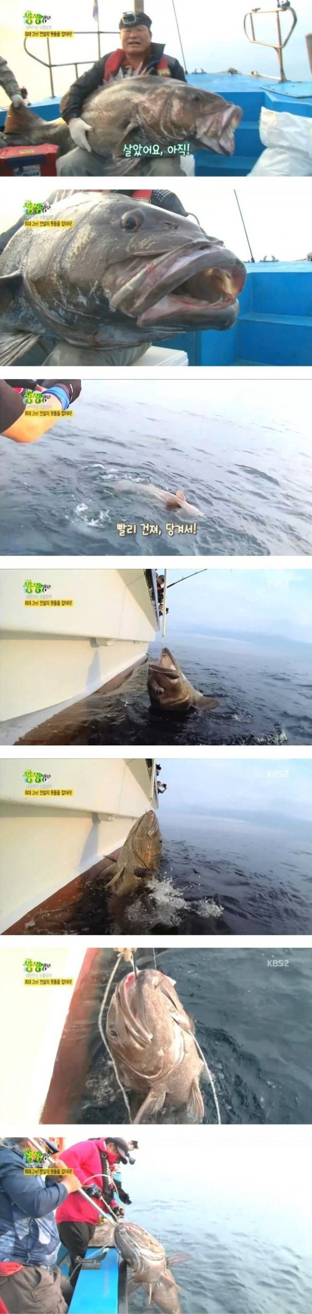 한마리 500만원짜리 낚시.jpg | 인스티즈