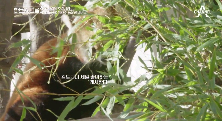 [하트시그널2] 사람이 온다. 현주가 온다. (도균-현주 데이트) | 인스티즈