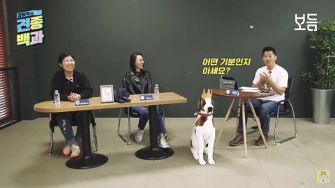 강형욱이 말하는 푸들의 귀여움.jpg | 인스티즈