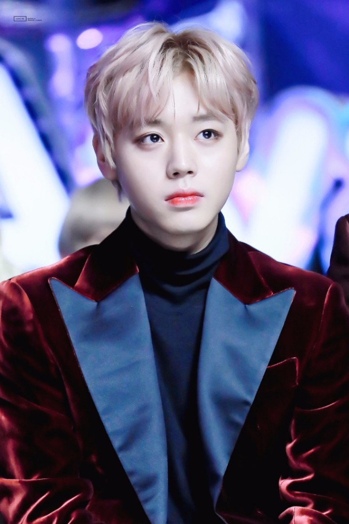블리 이미지