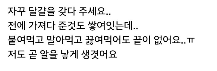 집앞 양계장 때문에 생긴 고민 ㅋ | 인스티즈