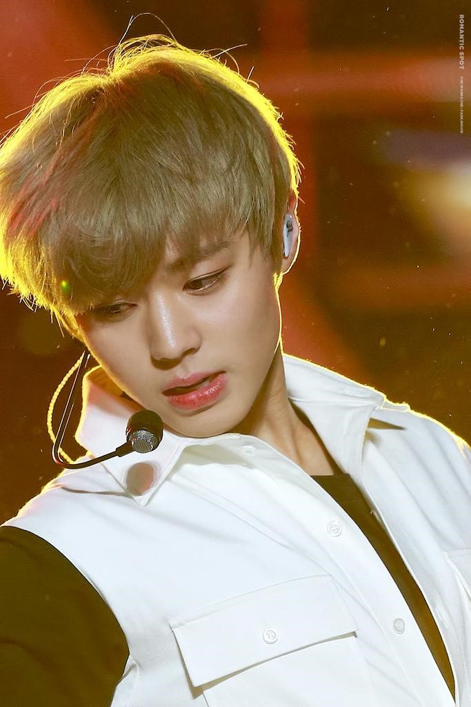 온지 이미지