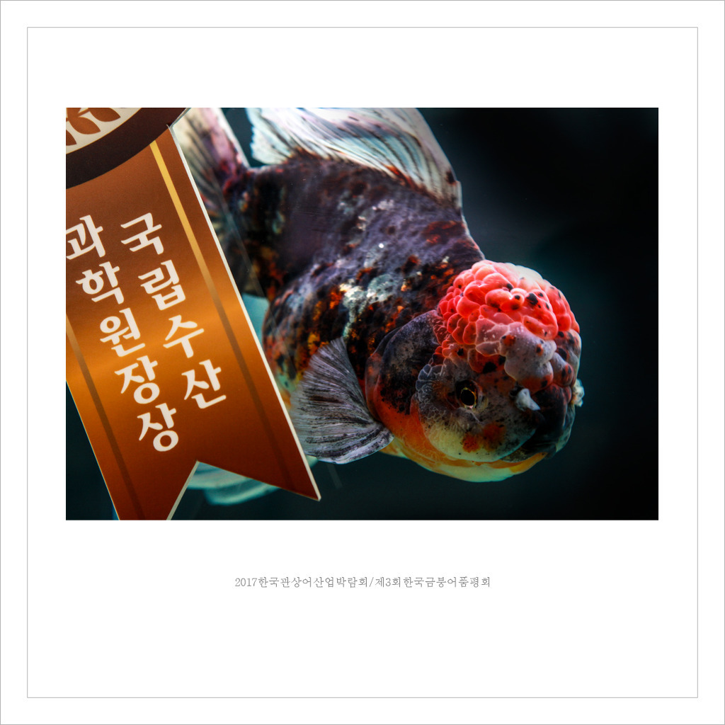 가나수산 이미지