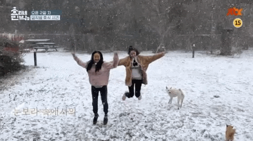[효리네민박2] 2화에서 많은 사람들이 힐링한 장면.gif | 인스티즈