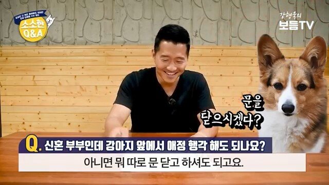 애정행각하려는데 개가 쳐다봐요 | 인스티즈