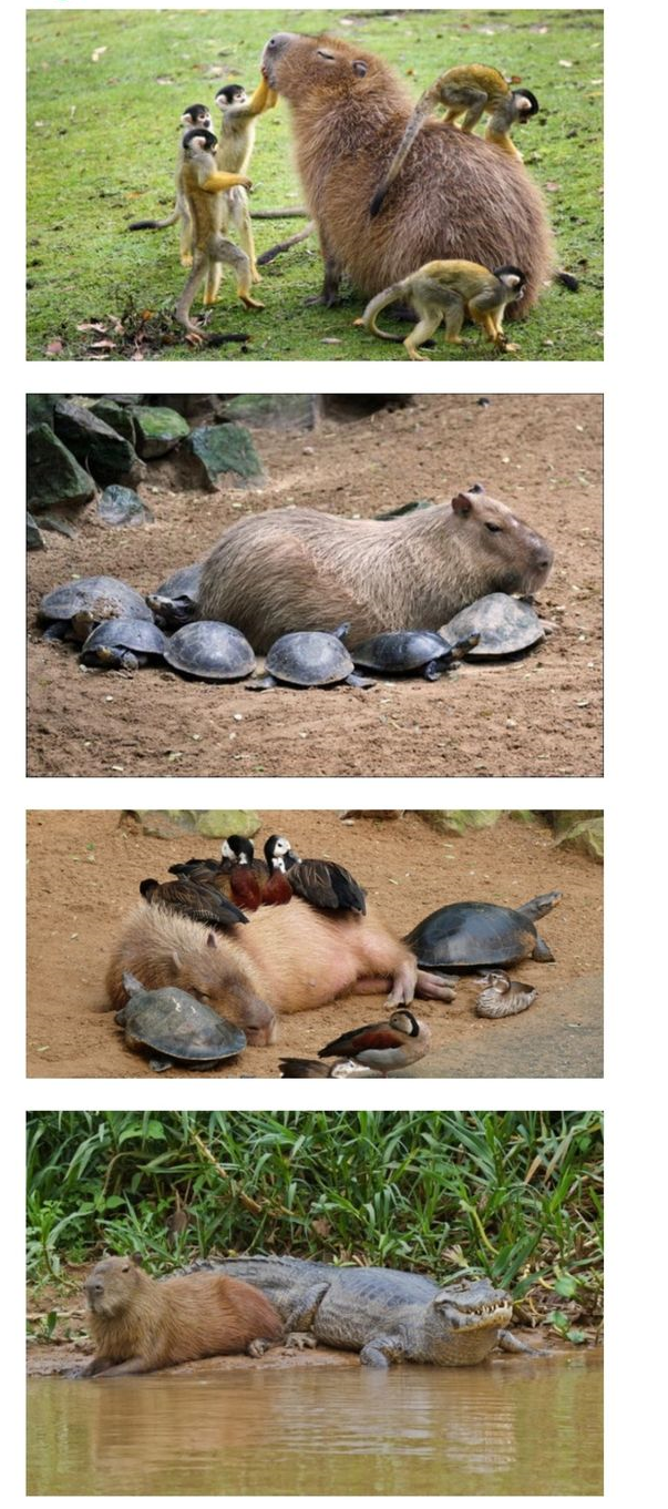 엄청난 친화력 | 인스티즈