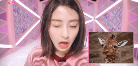 프로듀스48 연습생 멤버들이 뽑은 비쥬얼 TOP11 | 인스티즈