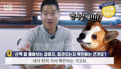 강아지가 산책 중 뒤 돌아보는 이유 | 인스티즈
