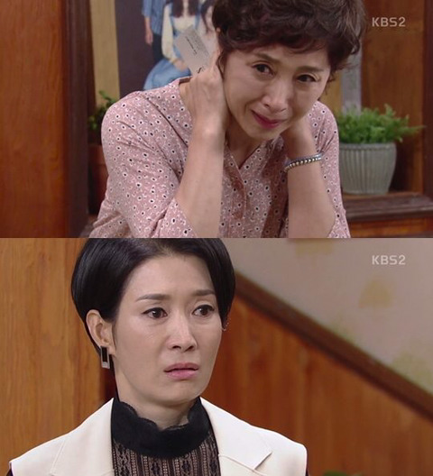 만약 황금빛 내인생의 지안이엄마랑 재벌사모 배우 역할이 바뀌었다면? | 인스티즈