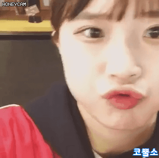 카메라에 들이미는 송하영.gif | 인스티즈