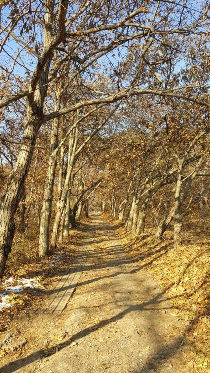 백월산 이미지