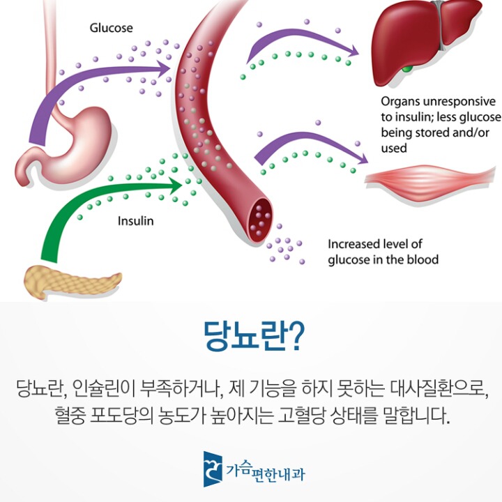 20년 안에 이 3개 질병 완치 된다 vs 안된다 | 인스티즈