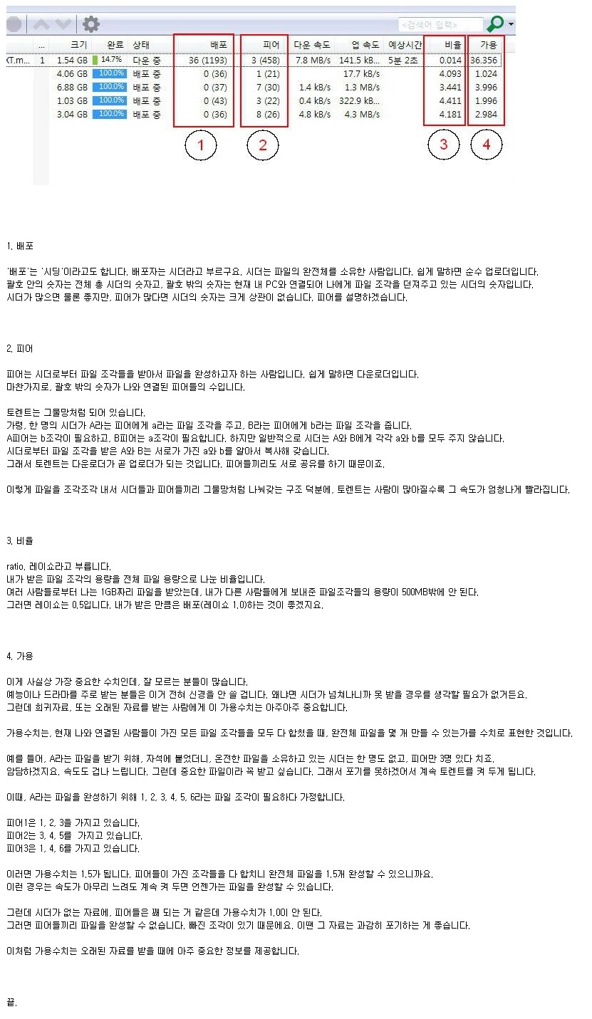 토렌트 용어 팁 - 엽기사진실 - 이종격투기